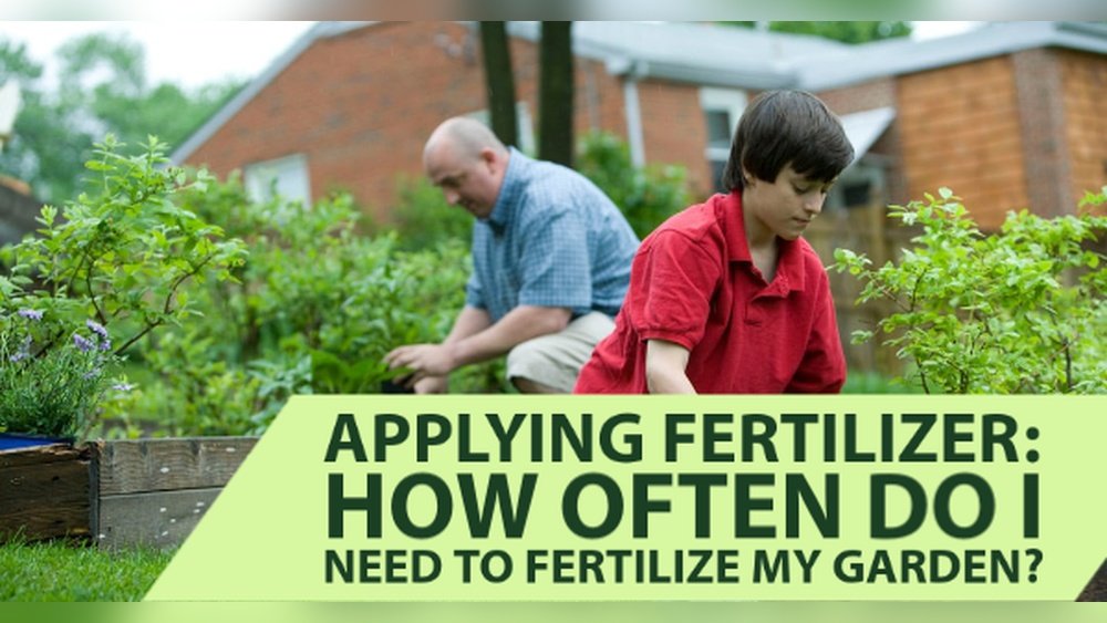 How Often to Fertilize Garden Plants