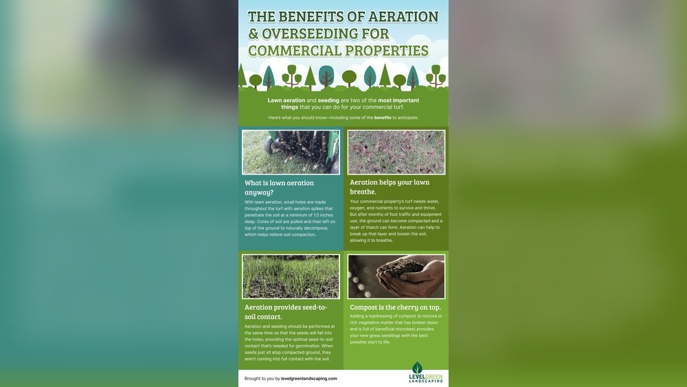 How to Aerate a Lawn before Overseeding for Better Seed Germination
