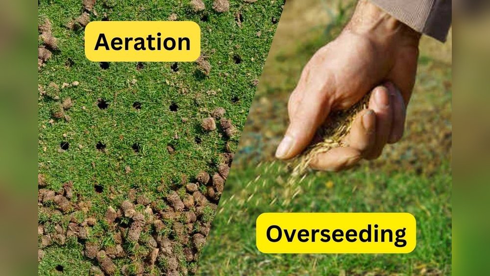 How to Aerate a Lawn in the Spring before Overseeding