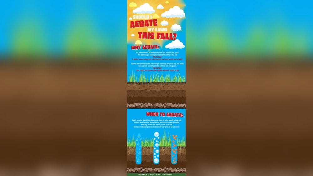 How to Aerate Your Lawn for Better Drainage