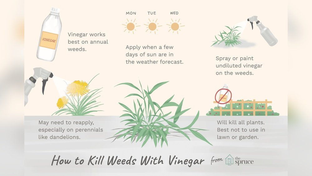 How to Apply a Natural Herbicide to Garden Plants