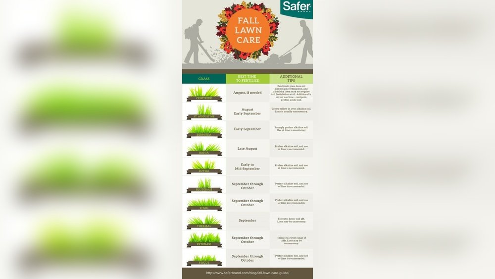 How to Apply Fertilizer to Your Lawn in the Fall