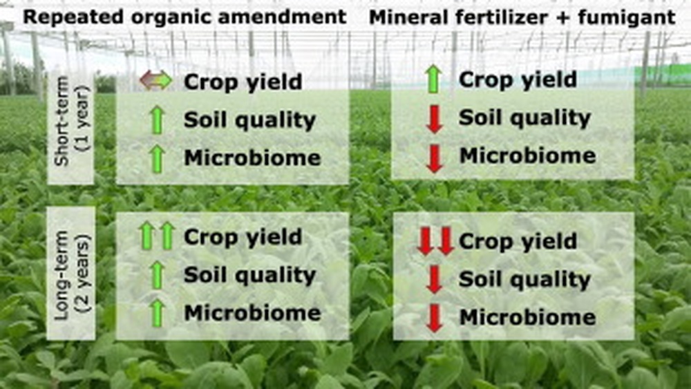 How to Apply Organic Amendments to Improve Soil Health