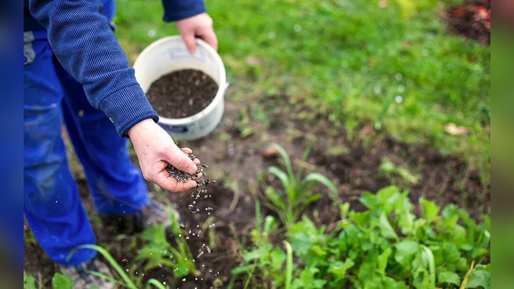 How to Apply Organic Fertilizer to Flower Beds