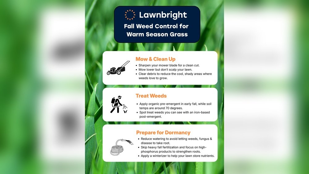 How to Apply Pre-Emergent Weed Killer to Your Lawn