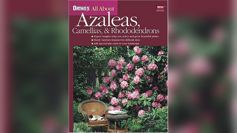 How to Choose Fertilizer for Acid-Loving Plants Like Azaleas