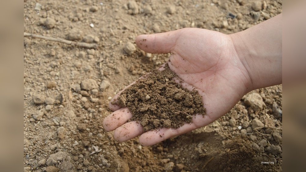 How to Choose the Right Aerator for Sandy Soil