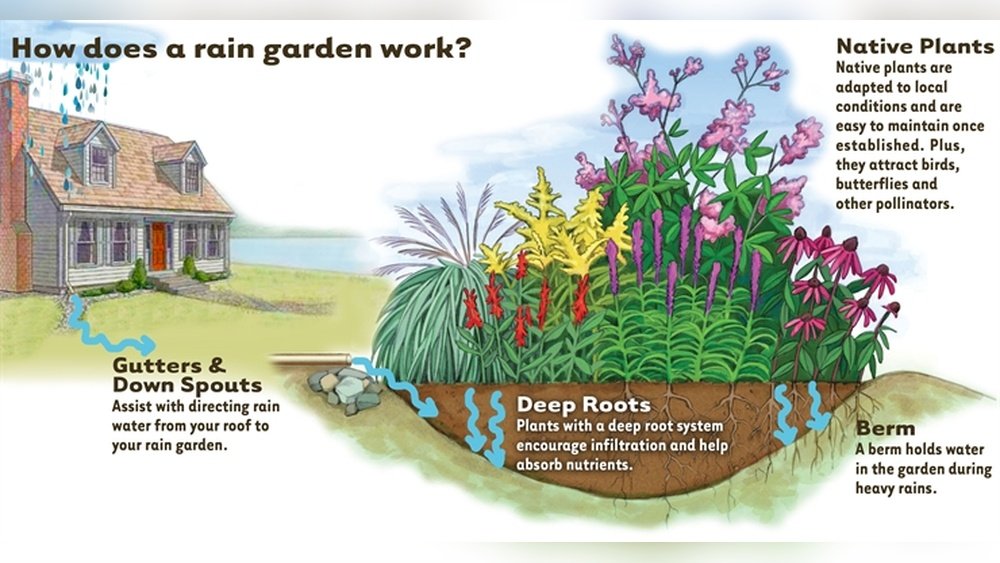 How to Clean a Rain Barrel System After Use