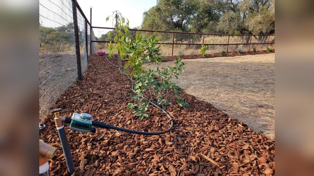 How to Connect a Hose-End Watering System to Your Garden Faucet