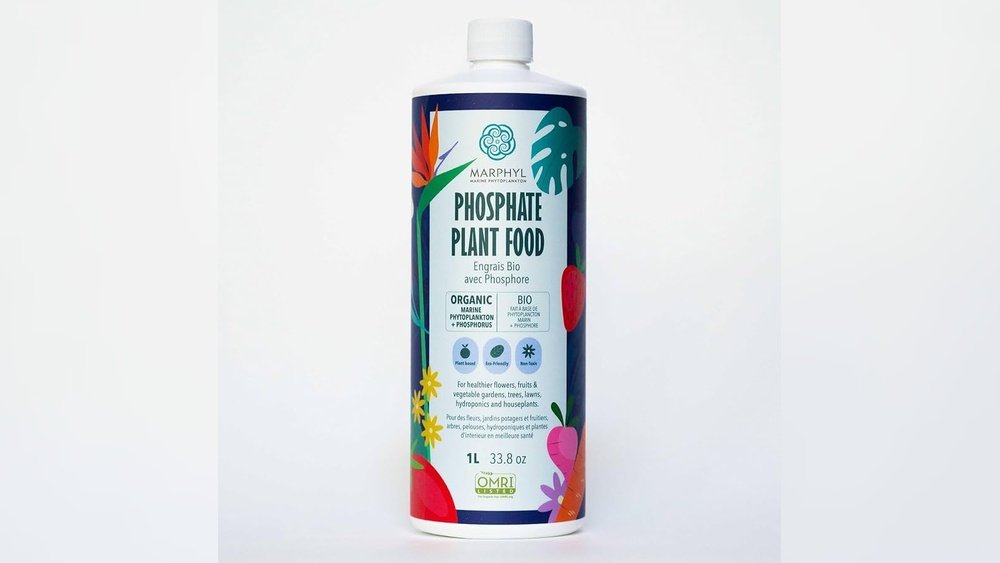 How to Correct Phosphorus Deficiency in Garden Soil