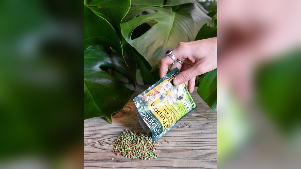 How to Fertilize Indoor Plants With Houseplant Fertilizer