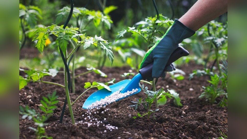 How to Fertilize Your Garden Plants in Spring