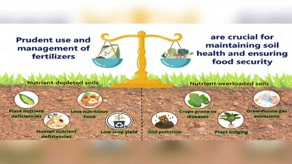 How to Fix Poor Plant Growth Due to Imbalanced Soil Nutrients