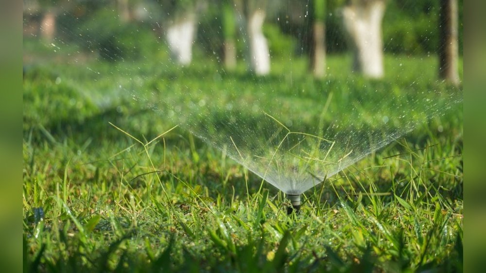 How to Maintain a Soaker Hose to Prevent Clogs