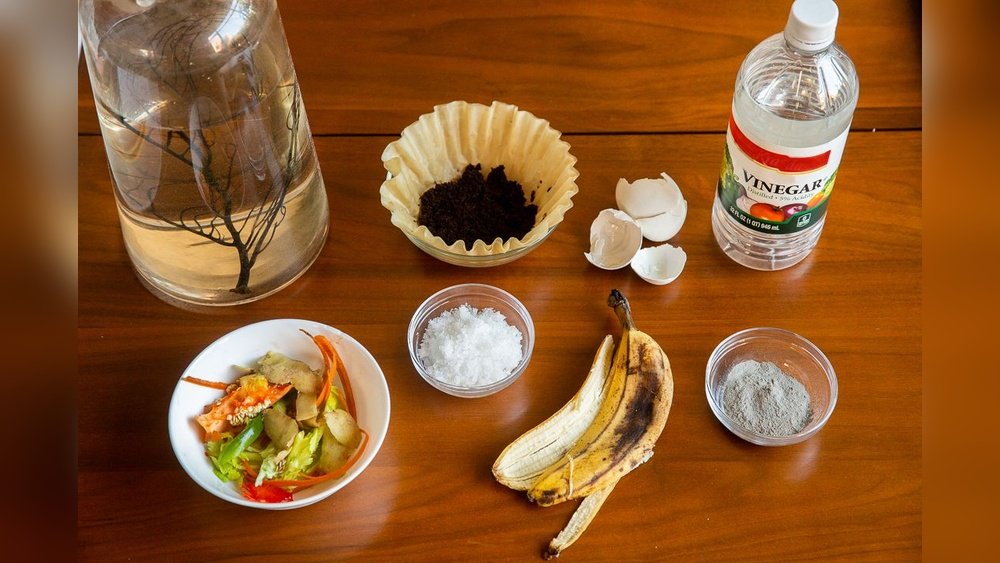 How to Make Your Own Fertilizer for Garden Plants