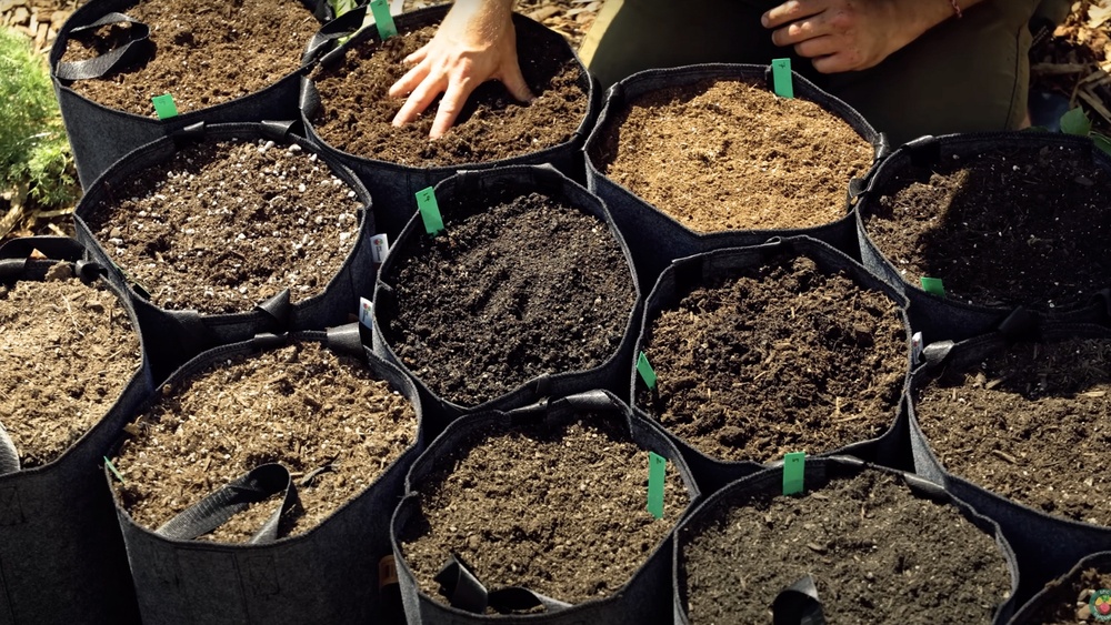 How to Mix Fertilizer With Compost for Better Results