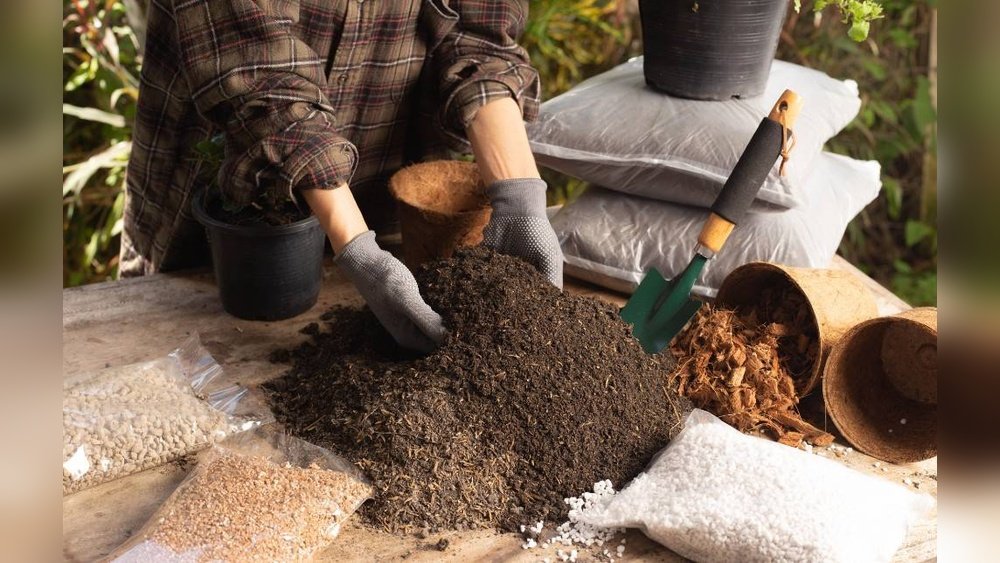 How to Pick the Best Fertilizer for Vegetables in Containers