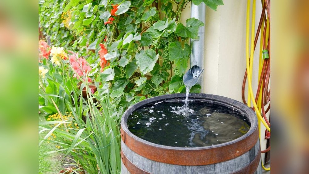 How to Pick the Best Rainwater Harvesting System for Gardening