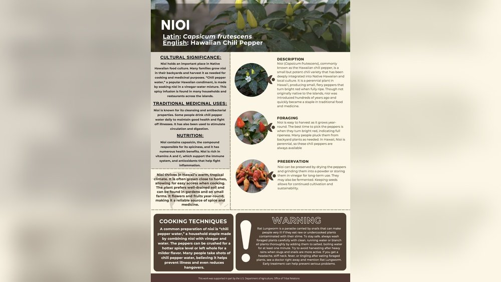 How to Pick the Best Water System for a Small Garden