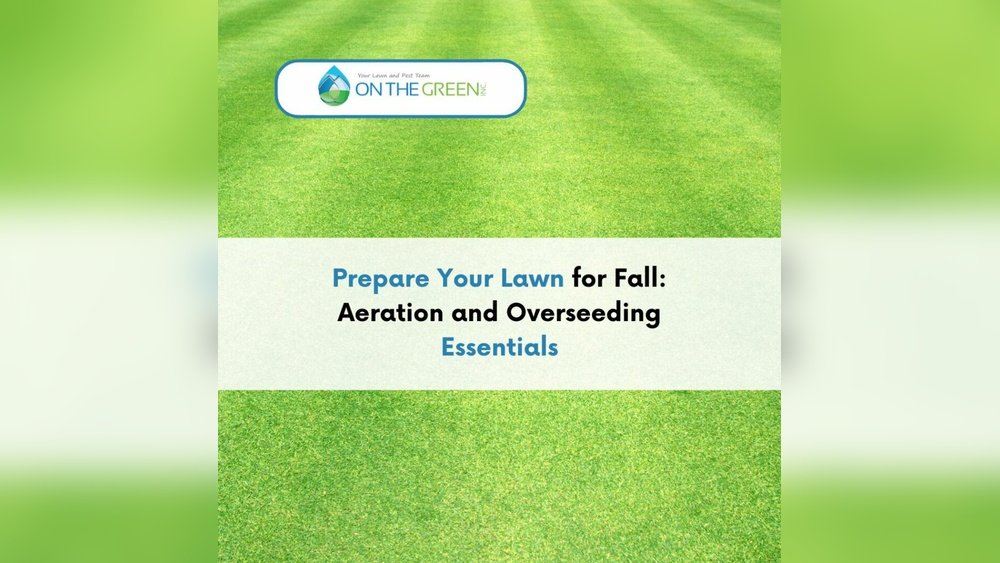 How to Prepare Your Lawn for Aeration And Overseeding in Fall