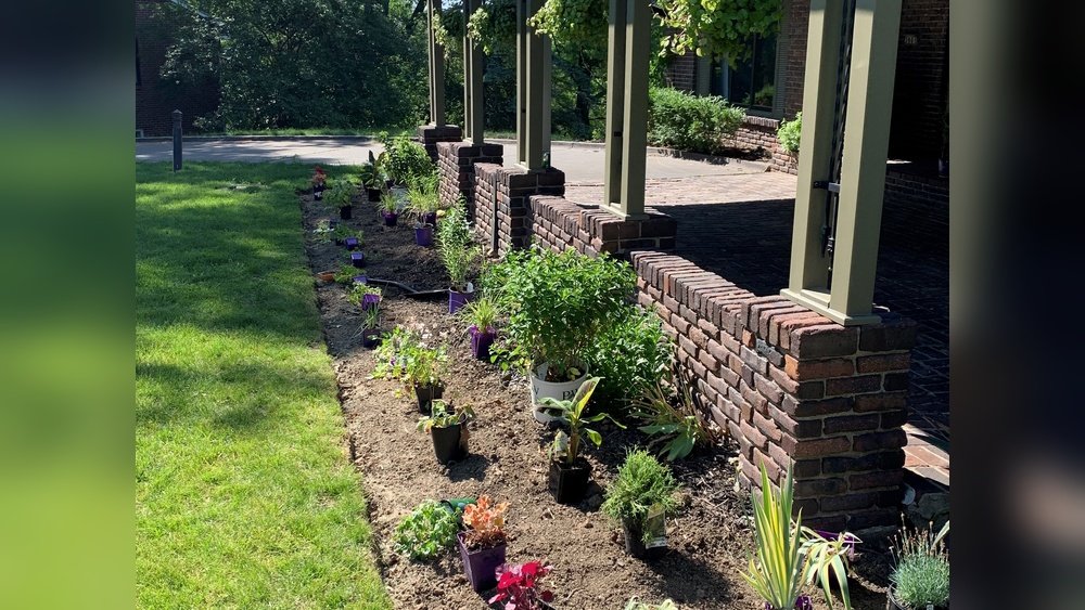 How to Remove Unwanted Grass from Your Garden Beds