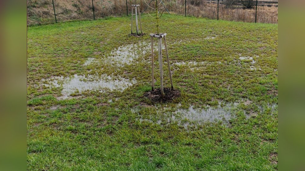 How to Select Soil Amendments for Poor Soil Drainage