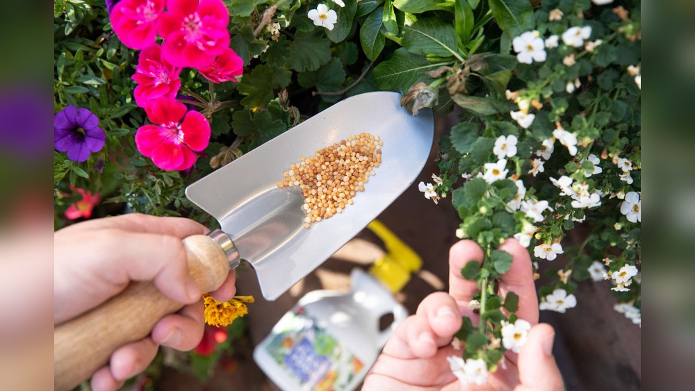 How to Select the Right Organic Fertilizer for Flowers