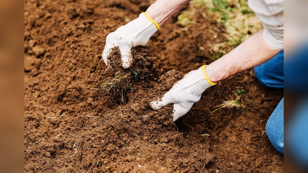 How to Select the Right Water System for Clay Soil