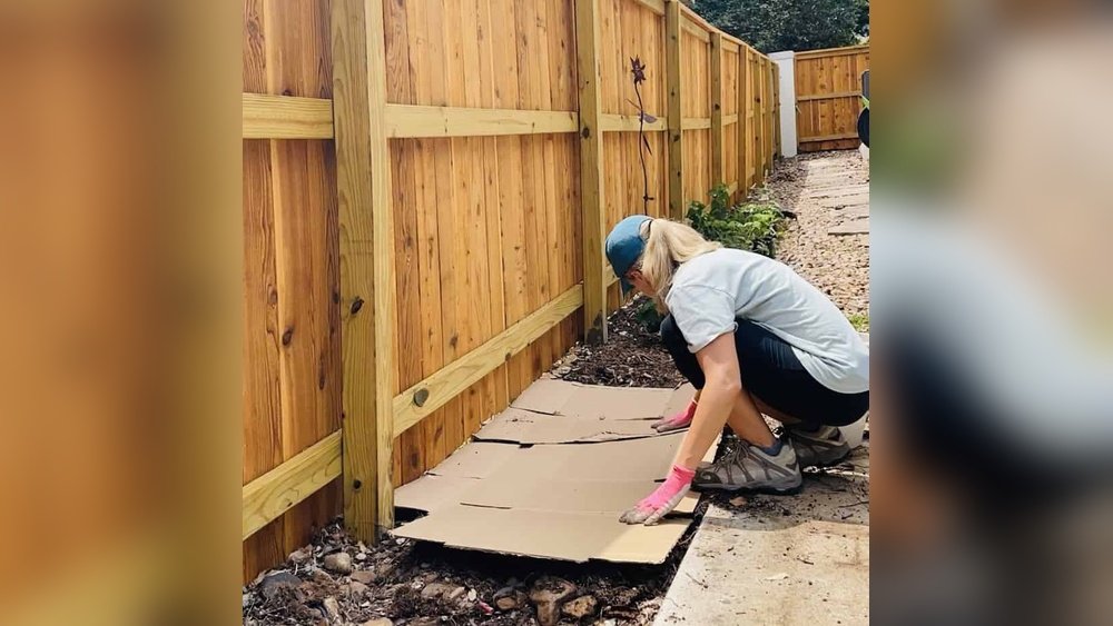 How to Stop Weeds from Growing in Garden Beds