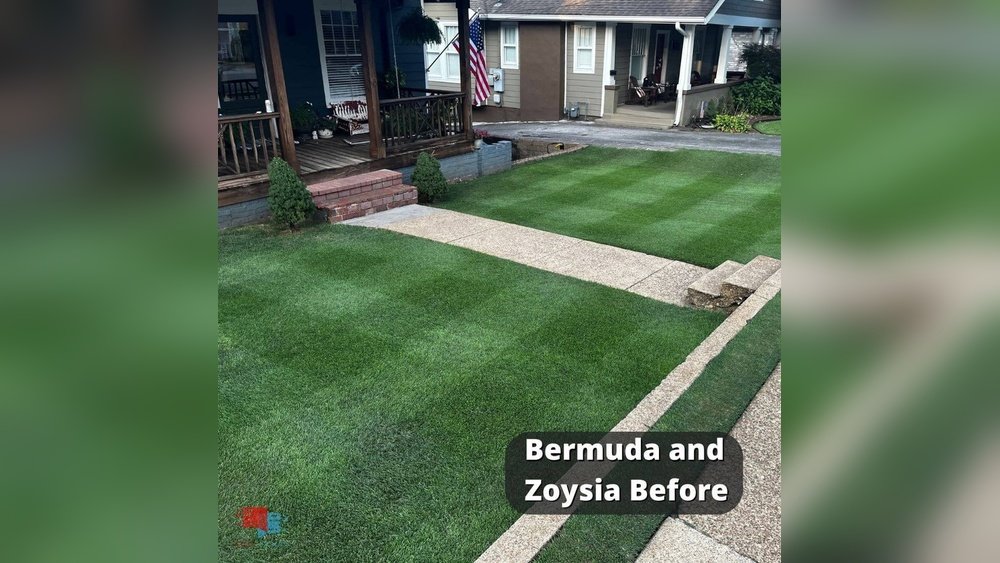 How to Stop Weeds from Growing in Hybrid Grass Lawns