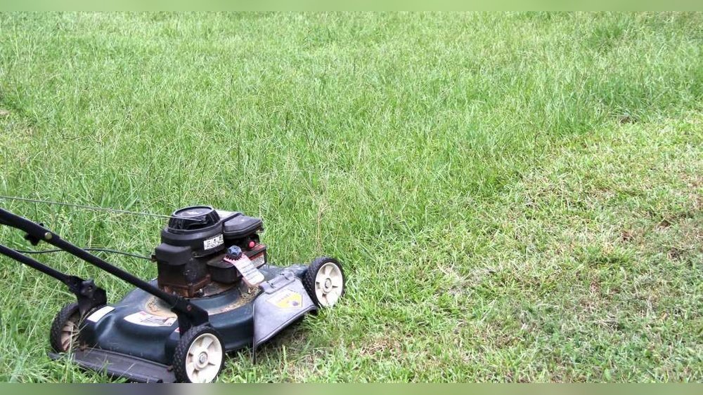 How to Stop Your Edger from Leaving Grass Clumps