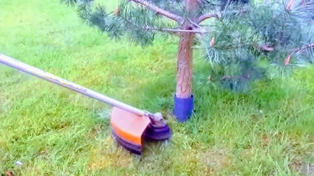 How to Trim Grass around Trees Using a Trimmer