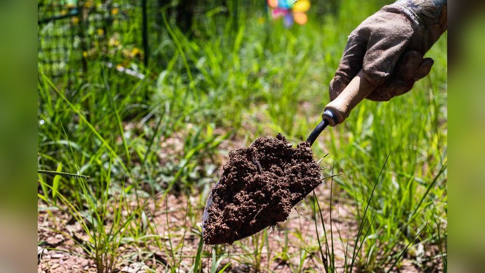 How to Troubleshoot Over-Fertilizing Plants in a Garden