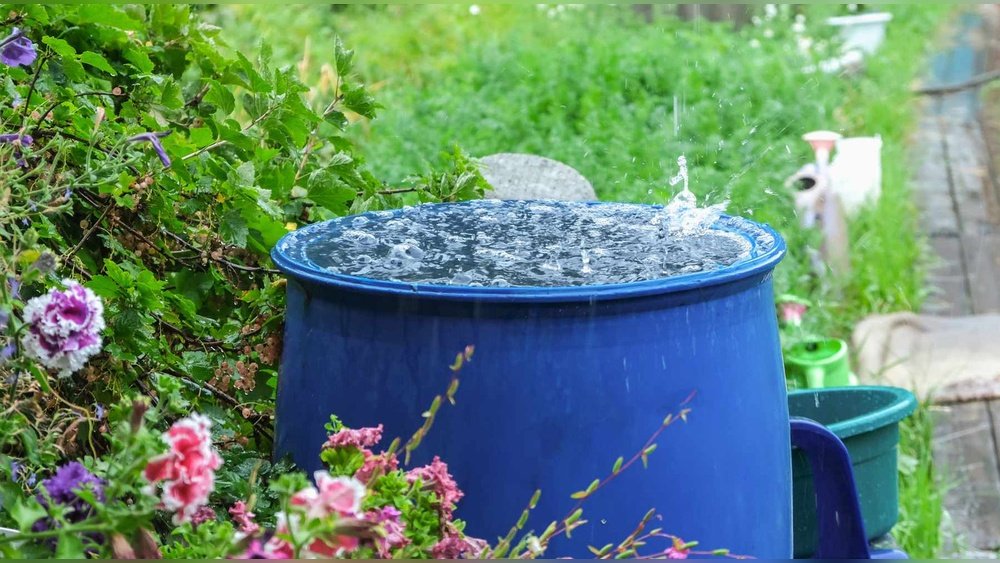 How to Use a Rainwater Harvesting System to Water Your Garden