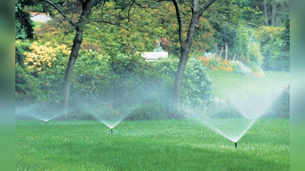 How to Use a Smart Watering System for Your Lawn
