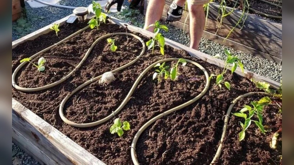 How to Use a Soaker Hose for Garden Beds