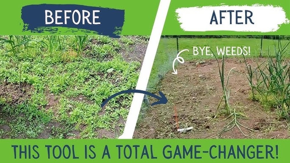 How to Use a Trimmer for Weed Control