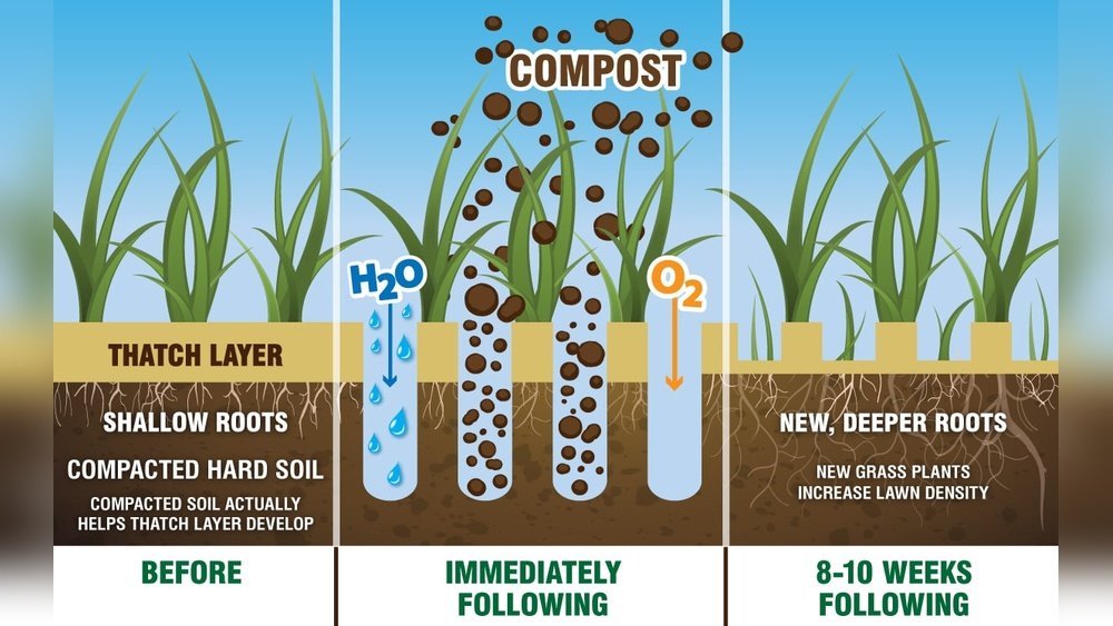 How to Use Compost As a Soil Amendment for Better Aeration