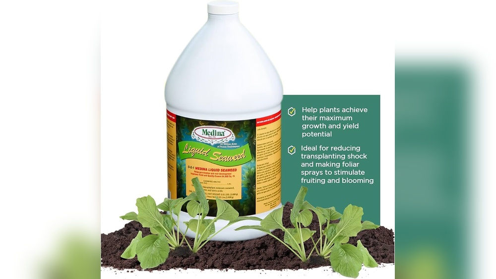 How to Use Fertilizer for Optimal Lawn Growth
