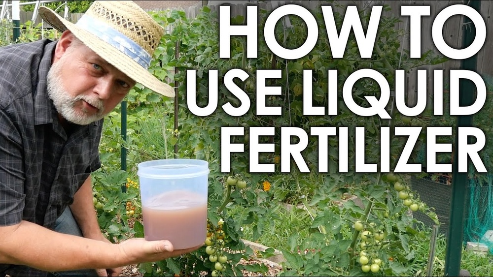 How to Use Liquid Fertilizer on Garden Plants