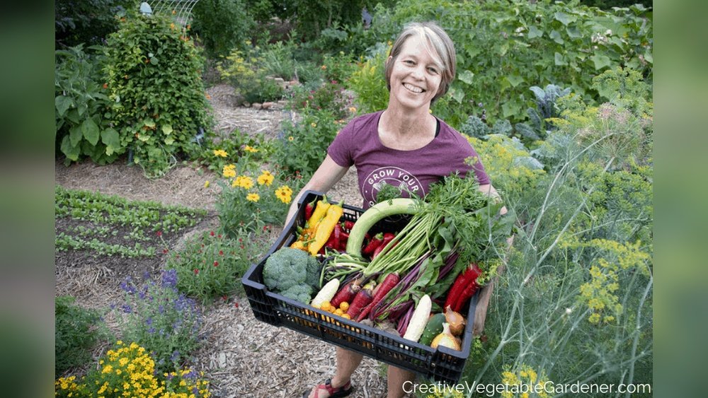 How to Use Organic Fertilizer for Vegetable Gardens