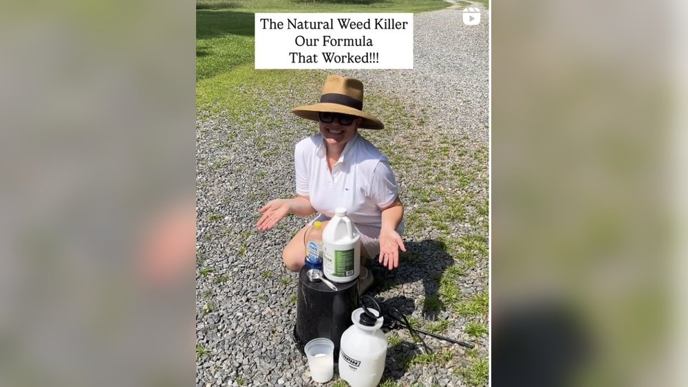 How to Use Vinegar to Kill Weeds in Your Garden