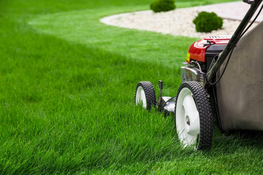 Can I Mow Wet Grass With Electric Mower