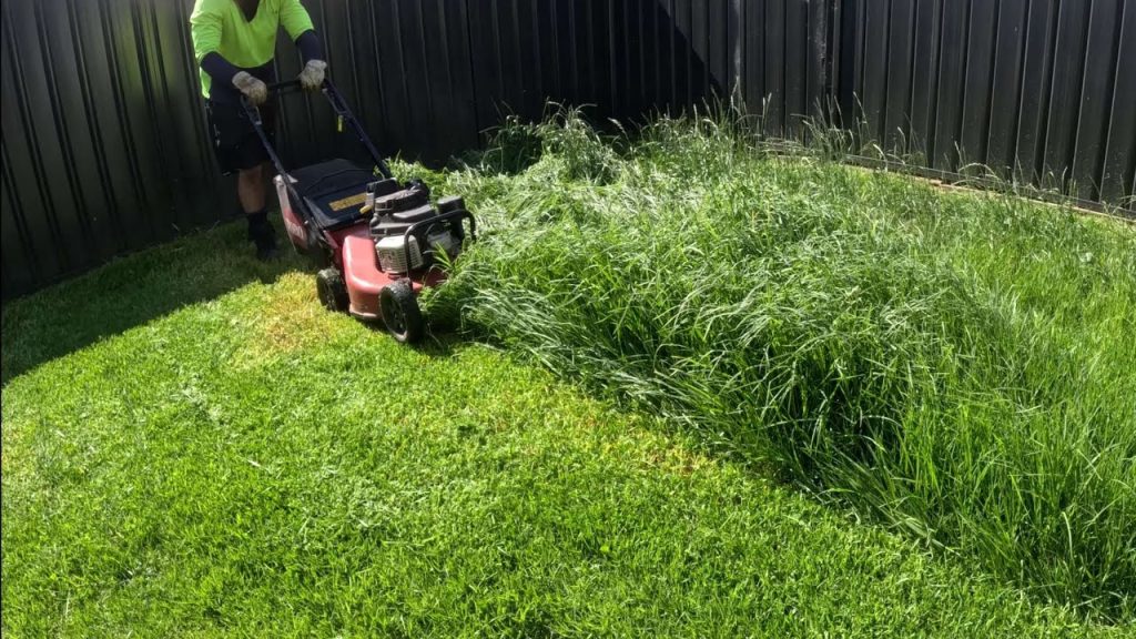 Can Electric Mowers Cut Thick Grass