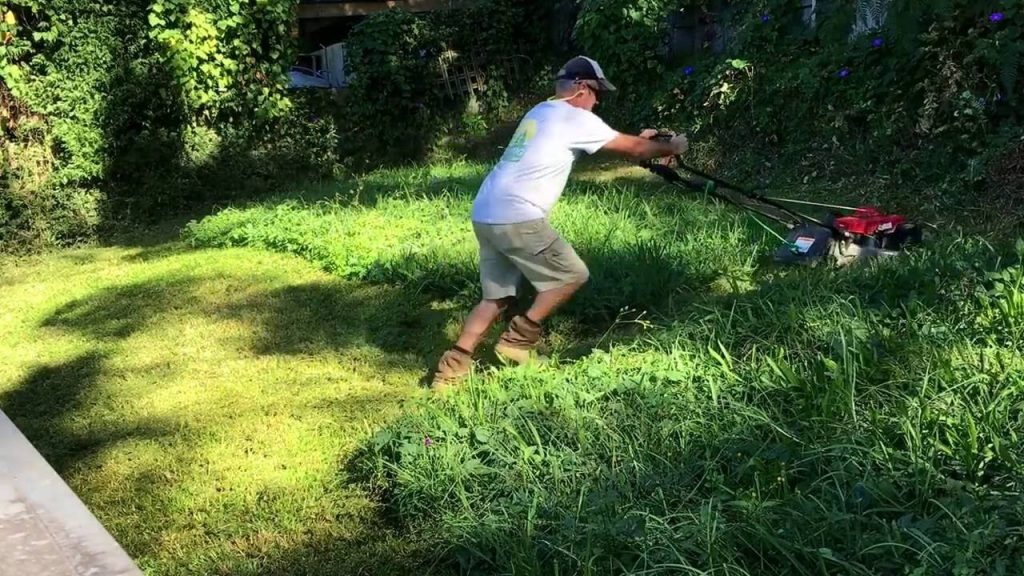 How to Mow a Lawn