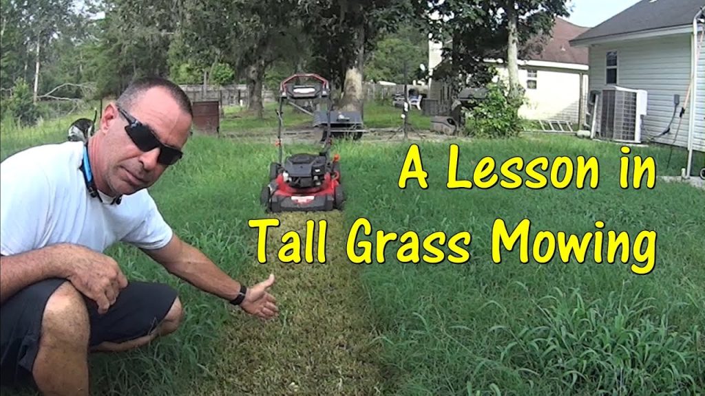 Mow Overgrown Grass