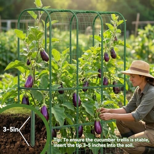 Best Garden Trellis