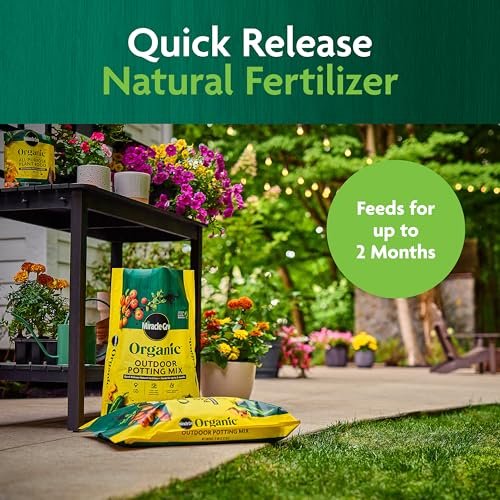 Best Soil For Container Gardening