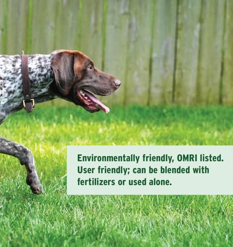 Best Biochar Amendment