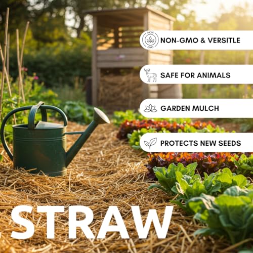 Best Mulch For Vegetable Garden